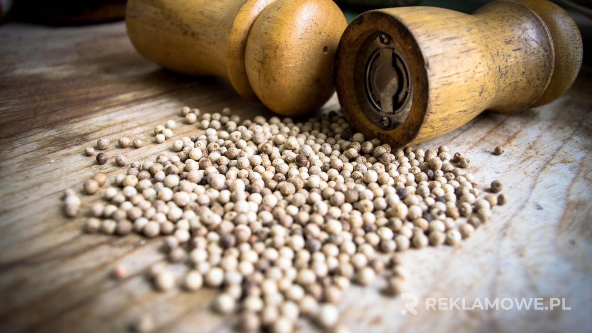 Porównanie młynków reklamowych na rynku w 2026 roku